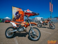 IMG_8333 IMG_8333