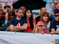 IMG-0631