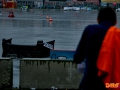 IMG-0782